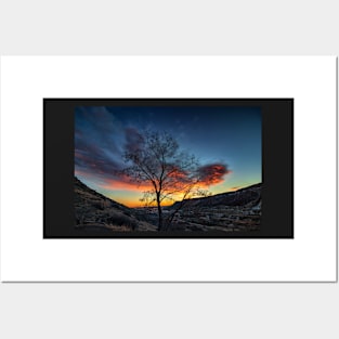 The Silhouette of a Tree Against Clouds Being Lit By the Sunrise Posters and Art